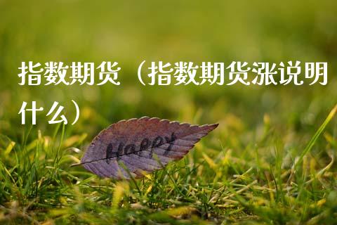指数期货（指数期货涨说明什么）_https://www.hbaoqiang.com_国际期货_第1张