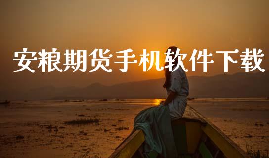安粮期货手机软件下载_https://www.hbaoqiang.com_期货手续费_第1张