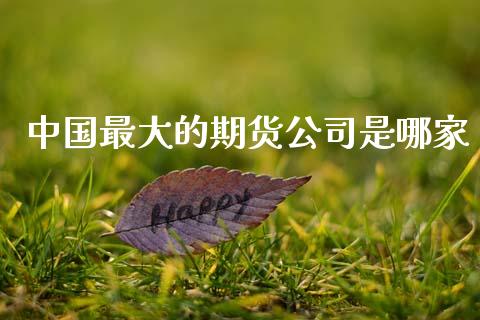 中国最大的期货公司是哪家_https://www.hbaoqiang.com_期货手续费_第1张