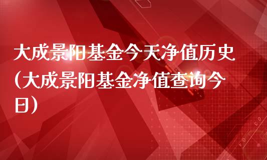 大成景阳基金今天净值历史(大成景阳基金净值查询今日)_https://www.hbaoqiang.com_内盘期货_第1张