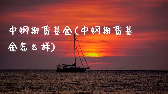 中钢期货基金(中钢期货基金怎么样)_https://www.hbaoqiang.com_国际期货_第1张