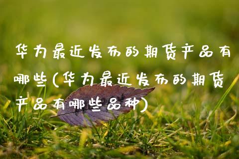 华为最近发布的期货产品有哪些(华为最近发布的期货产品有哪些品种)_https://www.hbaoqiang.com_股票推荐_第1张