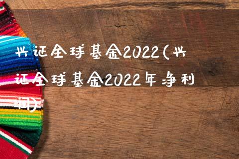 兴证全球基金2022(兴证全球基金2022年净利润)_https://www.hbaoqiang.com_期货手续费_第1张