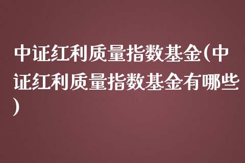 中证红利质量指数基金(中证红利质量指数基金有哪些)_https://www.hbaoqiang.com_期货行情_第1张