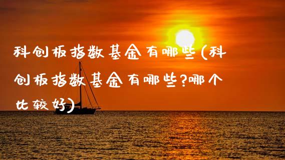 科创板指数基金有哪些(科创板指数基金有哪些?哪个比较好)_https://www.hbaoqiang.com_期货直播_第1张