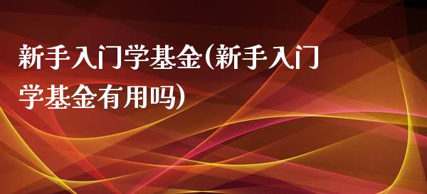 新手入门学基金(新手入门学基金)_https://www.hbaoqiang.com_期货软件_第1张