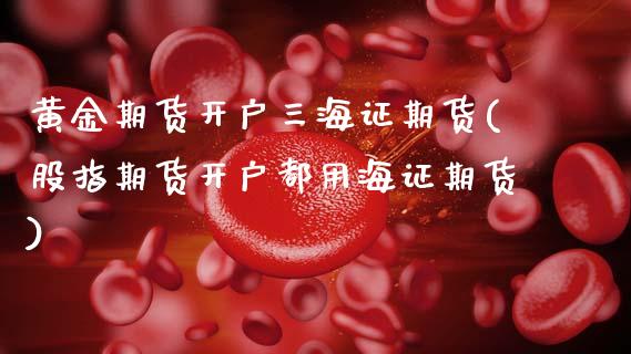黄金期货开户三海证期货(股指期货开户都用海证期货)_https://www.hbaoqiang.com_期货软件_第1张
