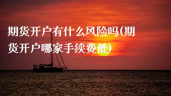 期货开户有什么风险吗(期货开户哪家手续费低)_https://www.hbaoqiang.com_期货软件_第1张
