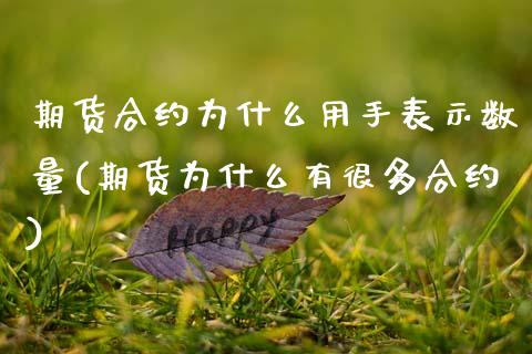 期货合约为什么用手表示数量(期货为什么有很多合约)_基金投资_第1张_宝强期货直播间 期货合约为什么用手表示数量(期货为什么有很多合约)_https://www.hbaoqiang.com_基金投资_第1张
