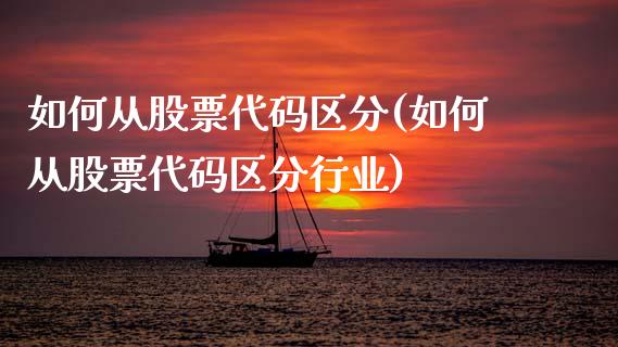 如何从股票代码区分(如何从股票代码区分行业)_https://www.hbaoqiang.com_股指期货_第1张