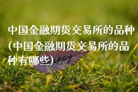 中国金融期货交易所的品种(中国金融期货交易所的品种有哪些)_https://www.hbaoqiang.com_实战心得_第1张