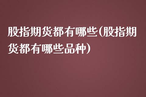 股指期货都有哪些(股指期货都有哪些品种)_https://www.hbaoqiang.com_期货平台_第1张