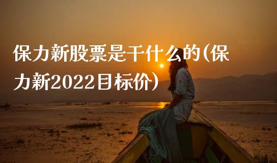 保力新股票是干什么的(保力新2022目标价)_https://www.hbaoqiang.com_股票推荐_第1张