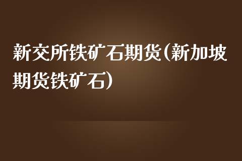 新交所铁矿石期货(新加坡期货铁矿石)_https://www.hbaoqiang.com_期货软件_第1张