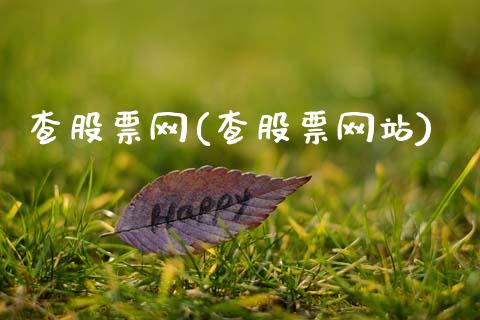 查股票网(查股票网站)_https://www.hbaoqiang.com_实战心得_第1张