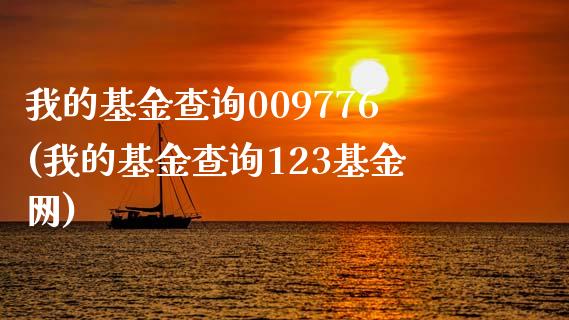 我的基金查询009776(我的基金查询123基金网)_https://www.hbaoqiang.com_道指期货_第1张