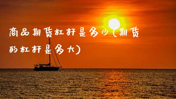 商品期货杠杆是多少(期货的杠杆是多大)_https://www.hbaoqiang.com_股指期货_第1张