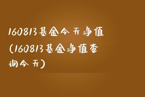 160813基金今天净值(160813基金净值查询今天)_https://www.hbaoqiang.com_德指期货_第1张