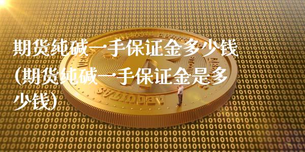 期货纯碱一手保证金多少钱(期货纯碱一手保证金是多少钱)_https://www.hbaoqiang.com_期货手续费_第1张