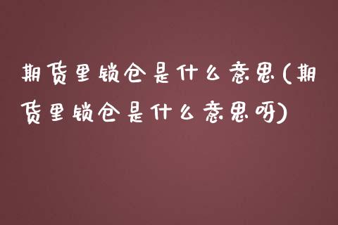 期货里锁仓是什么意思(期货里锁仓是什么意思呀)_https://www.hbaoqiang.com_期货软件_第1张