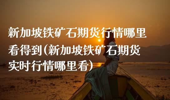 新加坡铁矿石期货行情哪里看得到(新加坡铁矿石期货实时行情哪里看)_https://www.hbaoqiang.com_交易心态_第1张