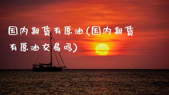 国内期货有原油(国内期货有原油交易吗)_https://www.hbaoqiang.com_交易心态_第1张