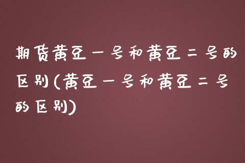 期货黄豆一号和黄豆二号的区别(黄豆一号和黄豆二号的区别)_https://www.hbaoqiang.com_股票推荐_第1张