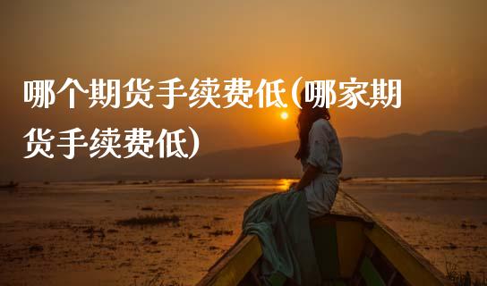 哪个期货手续费低(哪家期货手续费低)_https://www.hbaoqiang.com_交易心态_第1张