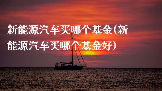 新能源汽车买哪个基金(新能源汽车买哪个基金好)_https://www.hbaoqiang.com_期货平台_第1张