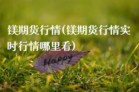 镁期货行情(镁期货行情实时行情哪里看)_https://www.hbaoqiang.com_交易心态_第1张