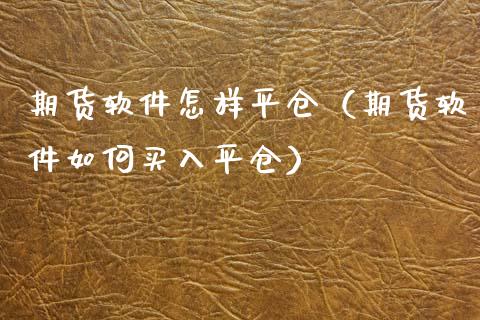 期货软件怎样平仓（期货软件如何买入平仓）_https://www.hbaoqiang.com_期货入门_第1张