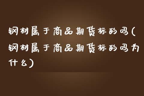 钢材属于商品期货标的吗(钢材属于商品期货标的吗为什么)_https://www.hbaoqiang.com_纳指期货_第1张