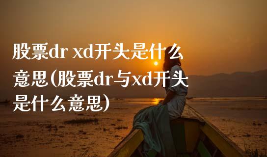 股票dr xd开头是什么意思(股票dr与xd开头是什么意思)_https://www.hbaoqiang.com_理财百科_第1张