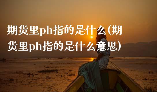 期货里ph指的是什么(期货里ph指的是什么意思)_https://www.hbaoqiang.com_理财百科_第1张