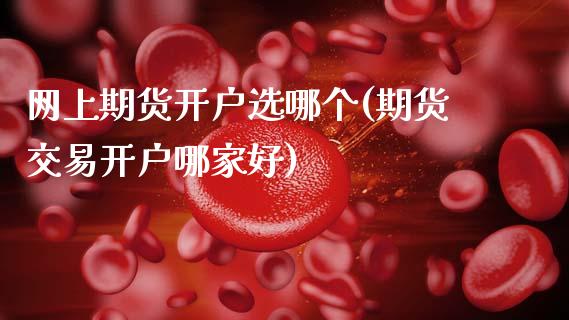 网上期货开户选哪个(期货交易开户哪家好)_https://www.hbaoqiang.com_实战心得_第1张