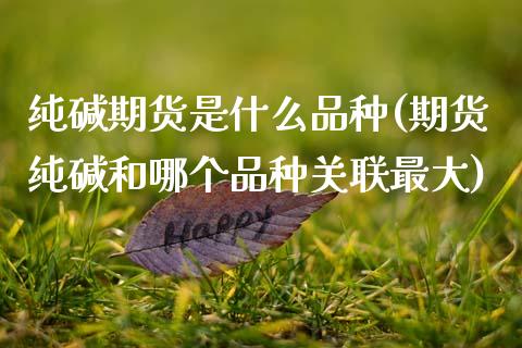 纯碱期货是什么品种(期货纯碱和哪个品种关联最大)_https://www.hbaoqiang.com_股指期货_第1张