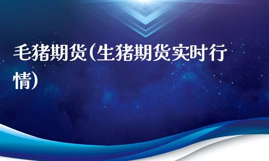 毛猪期货(生猪期货实时行情)_https://www.hbaoqiang.com_理财百科_第1张