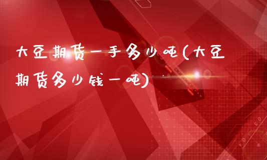 大豆期货一手多少吨(大豆期货多少钱一吨)_https://www.hbaoqiang.com_理财百科_第1张