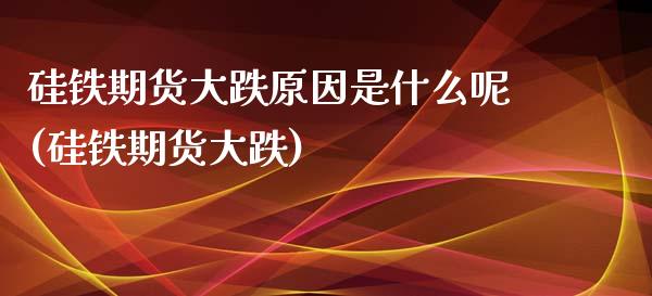 硅铁期货大跌原因是什么呢(硅铁期货大跌)_https://www.hbaoqiang.com_内盘期货_第1张