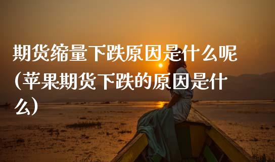 期货缩量下跌原因是什么呢(苹果期货下跌的原因是什么)_https://www.hbaoqiang.com_道指期货_第1张