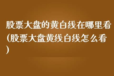 股票大盘的黄白线在哪里看(股票大盘黄线白线怎么看)_https://www.hbaoqiang.com_原油期货_第1张