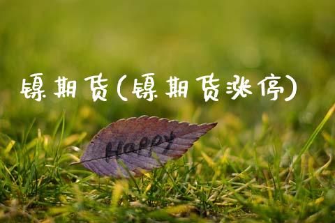 镍期货(镍期货涨停)_https://www.hbaoqiang.com_道指期货_第1张