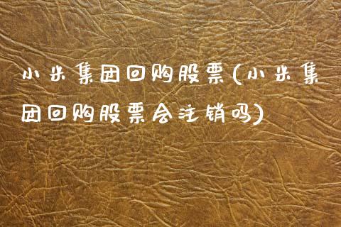 小米集团回购股票(小米集团回购股票会注销吗)_https://www.hbaoqiang.com_期货行情_第1张