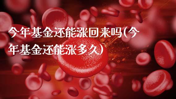 今年基金还能涨回来吗(今年基金还能涨多久)_https://www.hbaoqiang.com_内盘期货_第1张