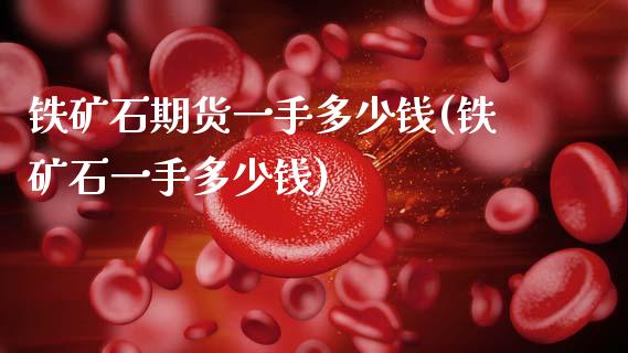 铁矿石期货一手多少钱(铁矿石一手多少钱)_https://www.hbaoqiang.com_期货软件_第1张