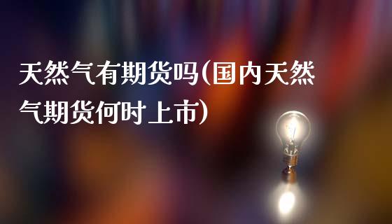 天然气有期货吗(国内天然气期货何时上市)_https://www.hbaoqiang.com_期货手续费_第1张
