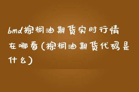 bmd棕榈油期货实时行情在哪看(棕榈油期货代码是什么)_https://www.hbaoqiang.com_原油期货_第1张