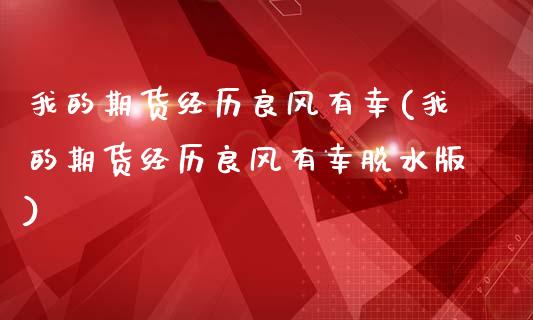 我的期货经历良风有幸(我的期货经历良风有幸脱水版)_https://www.hbaoqiang.com_道指期货_第1张