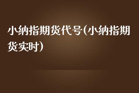 小纳指期货代号(小纳指期货实时)_https://www.hbaoqiang.com_期货入门_第1张