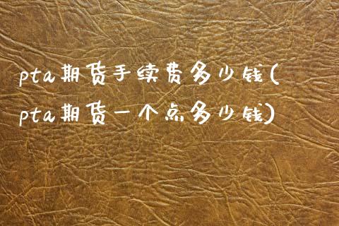 pta期货手续费多少钱(pta期货一个点多少钱)_https://www.hbaoqiang.com_理财百科_第1张